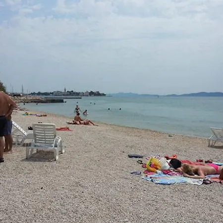 Daire Anasu *